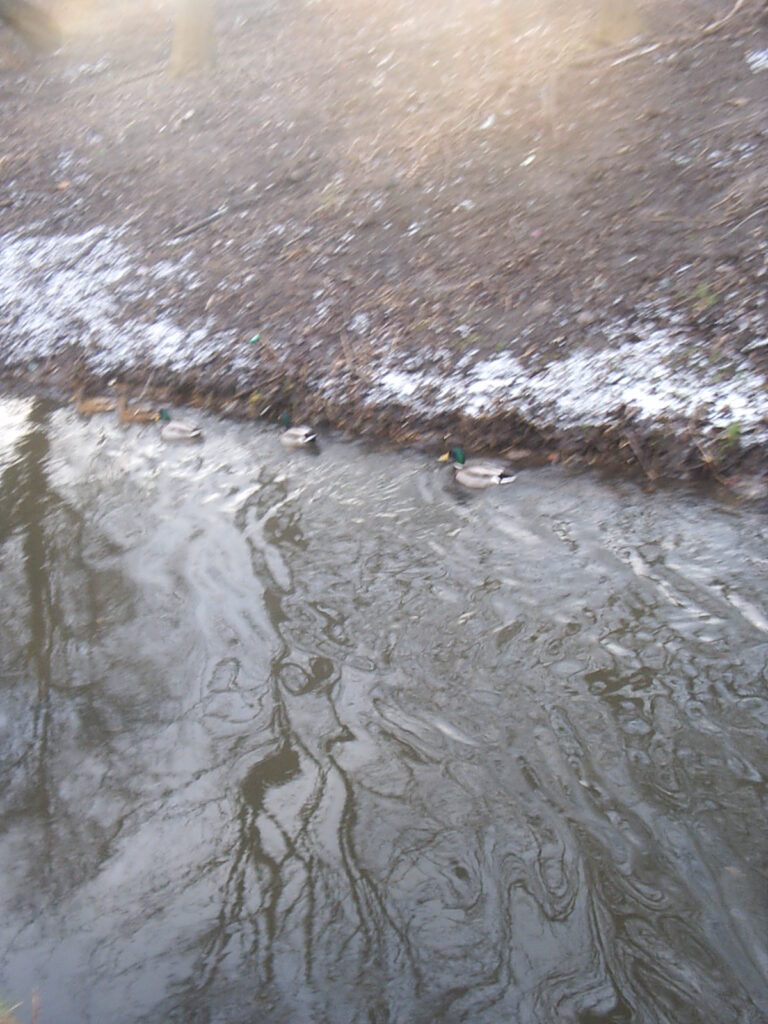 Ma nuit de folie en tente avec mon mec et son pote José